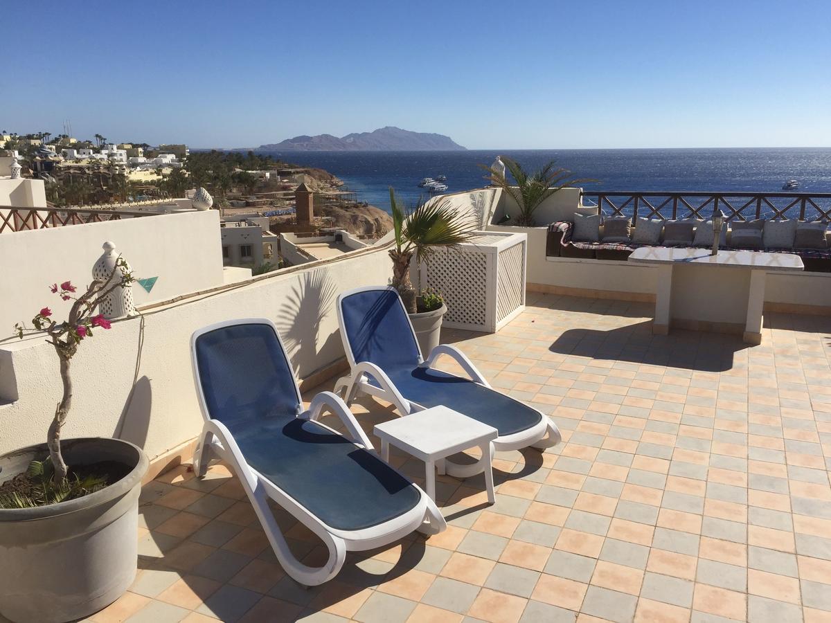 Sharks Bay Oasis Apartment Sharm el-Sheikh Eksteriør billede